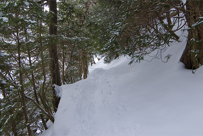 nikko yunoko tough trail winter